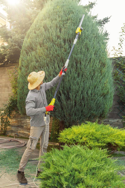 Best Lawn Watering Services  in Round Lake Park, IL